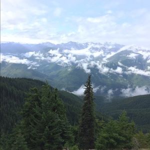 Meet your Posher, Holly